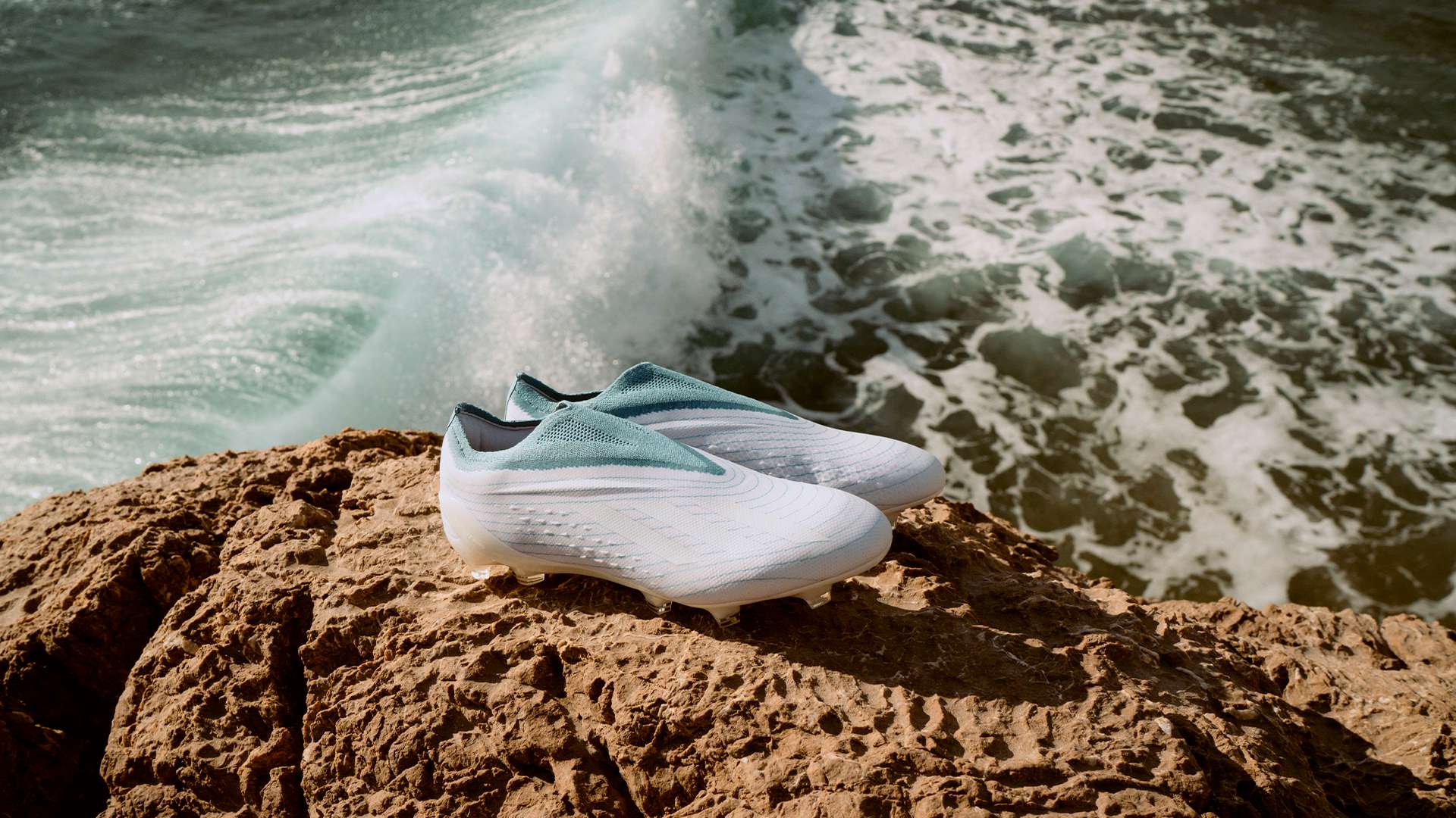 种整体协作 种整体协作