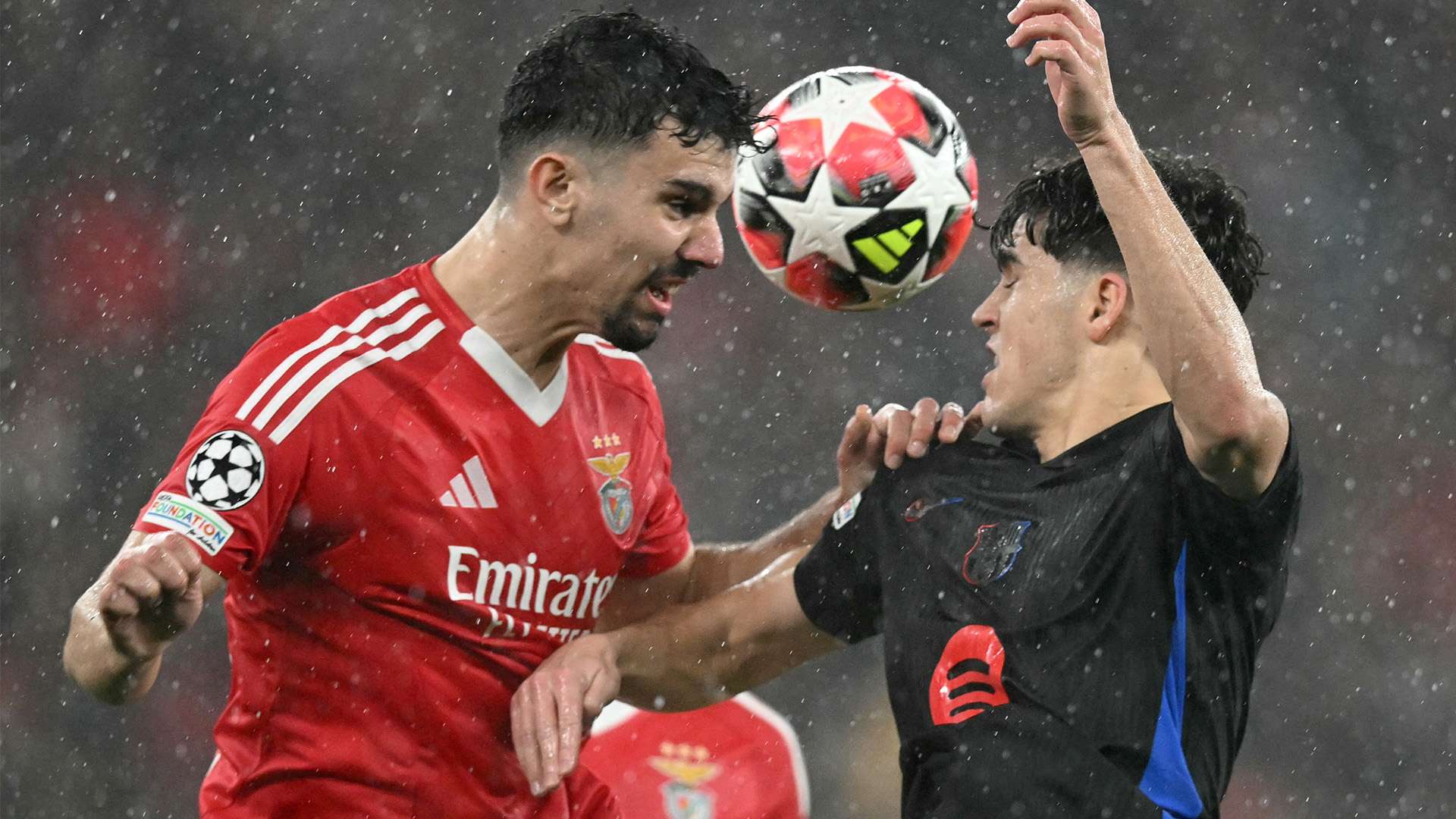 这一特性无 这一特性无