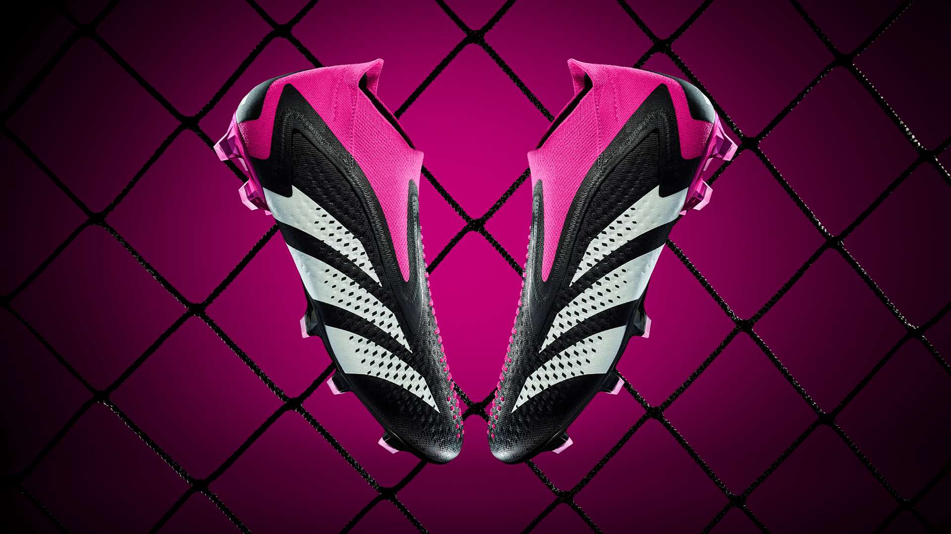 还能获得最 还能获得最