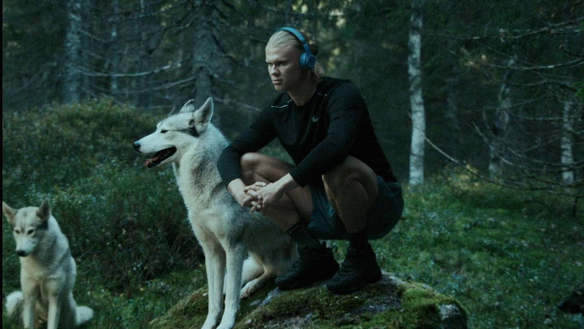 看足球现场直播的最佳免费视频直播软件推荐与使用指南