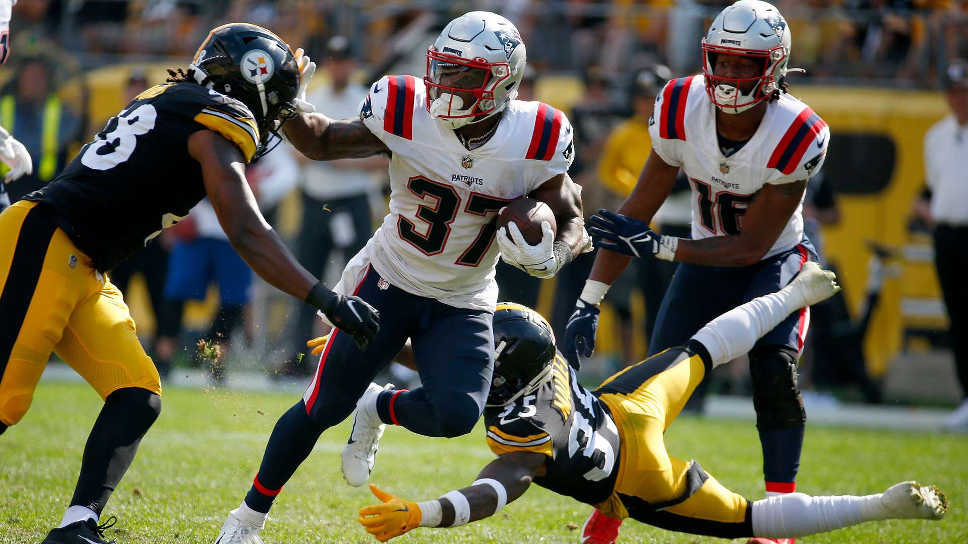 定少不了 定少不了